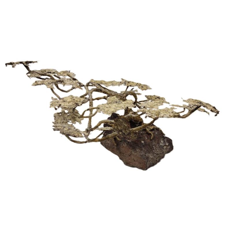 BRASS METAL ART TREE MOUNTED ON LAVA