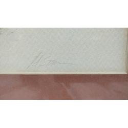 PENCIL SIGNED AND NUMBERED 173/200 RACCOON COLORED ETCHING