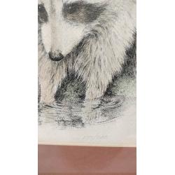 PENCIL SIGNED AND NUMBERED 173/200 RACCOON COLORED ETCHING