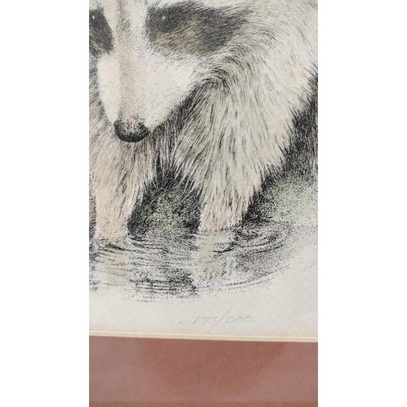 PENCIL SIGNED AND NUMBERED 173/200 RACCOON COLORED ETCHING
