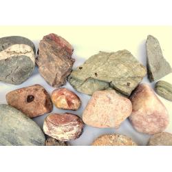 COLLECTION OF ROCK SPECIMENS, SOME POLISHED