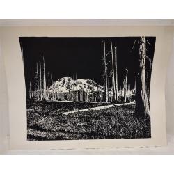 MONOCHROMATIC PRINT OF MOUNTAIN LANDSCAPE