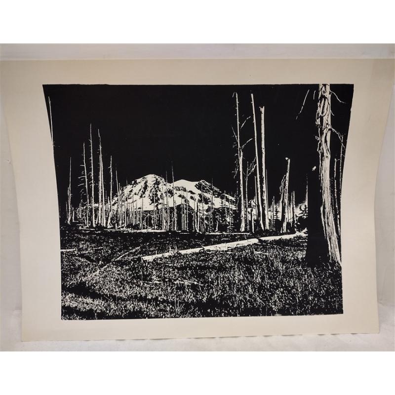 MONOCHROMATIC PRINT OF MOUNTAIN LANDSCAPE
