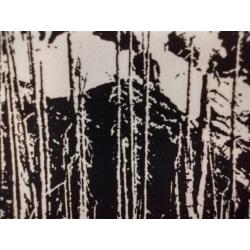 MONOCHROMATIC PRINT OF MOUNTAIN LANDSCAPE