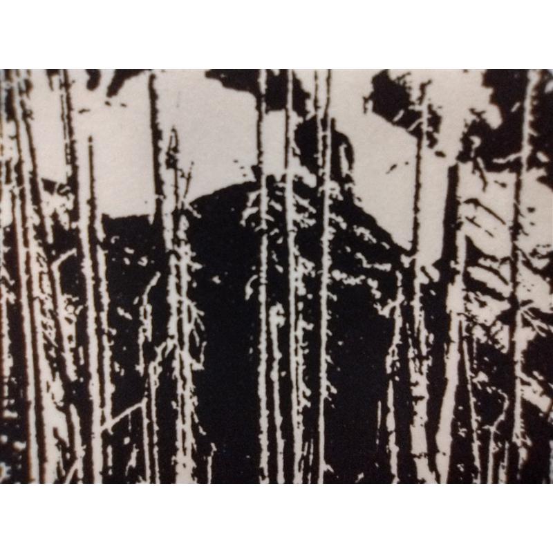 MONOCHROMATIC PRINT OF MOUNTAIN LANDSCAPE