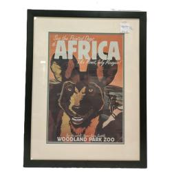 WOODLAND PARK ZOO FRAMED PHOTO LITHO PRINT "PAINTED DOGS OF AFRICA"