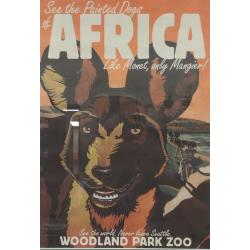 WOODLAND PARK ZOO FRAMED PHOTO LITHO PRINT "PAINTED DOGS OF AFRICA"